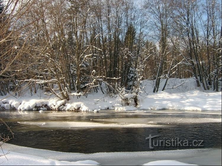 Říčka Křemelná: Říčka Křemelná la nord de Prášil.