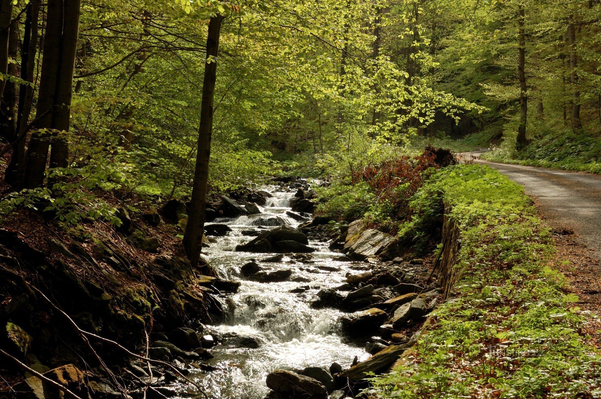 rivier de Merta