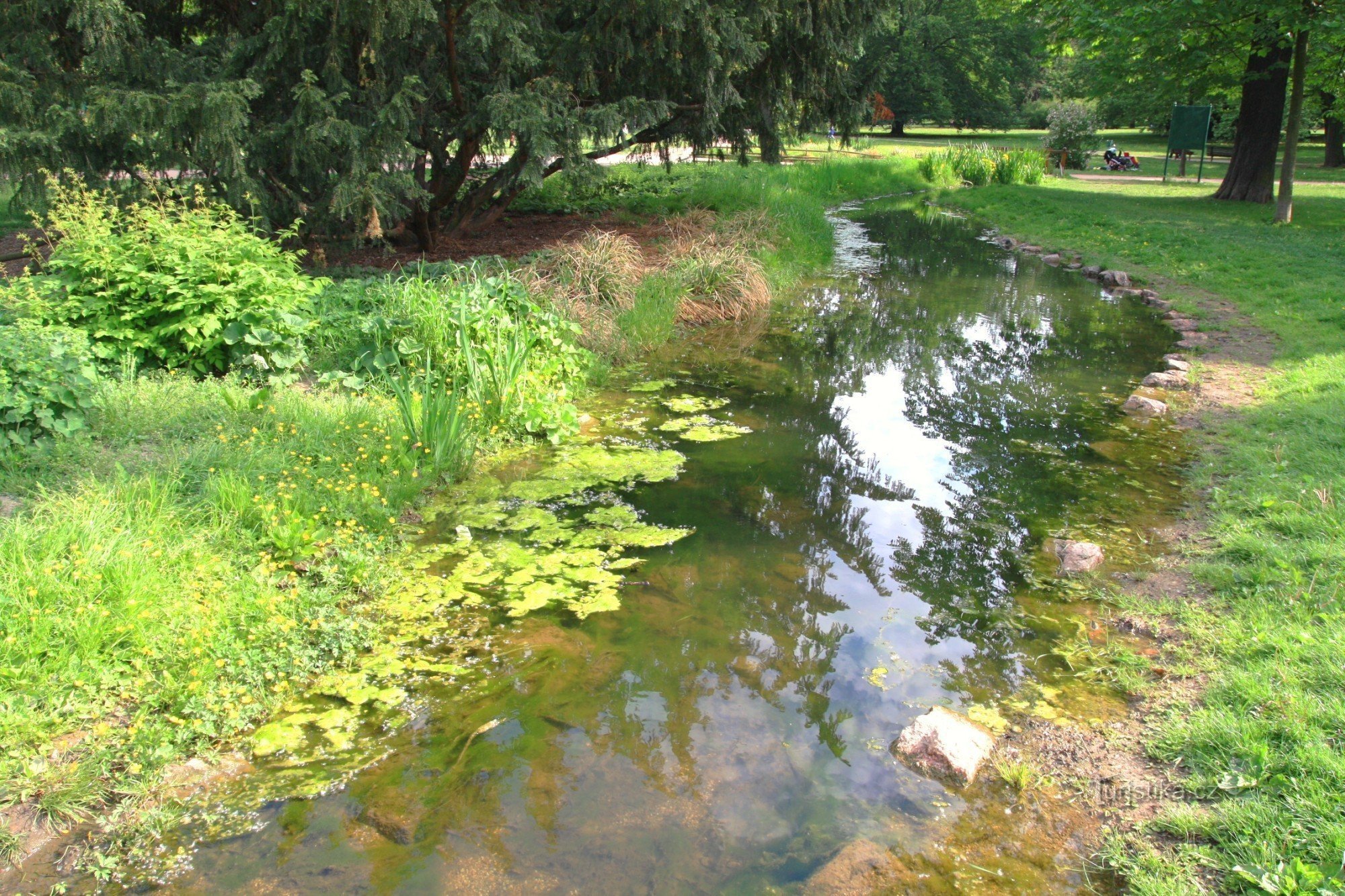 River Ponávka in Lužánky