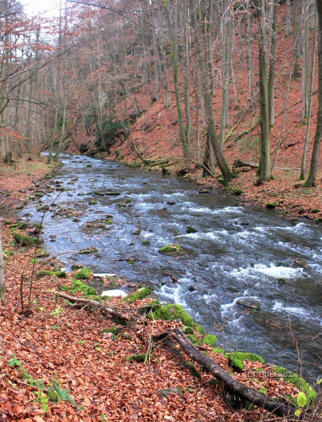 Fluss Punkva