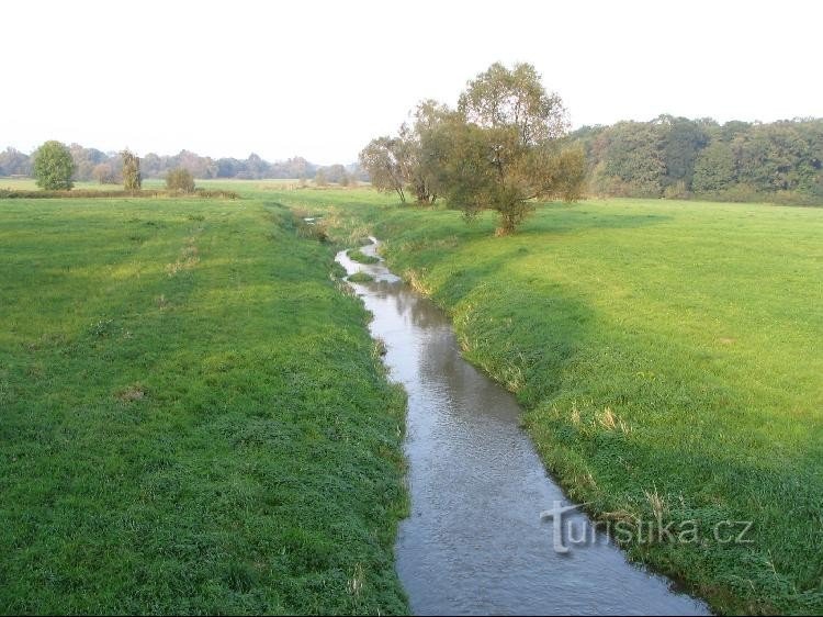 Rivier Sedlnice bij Nová Horka