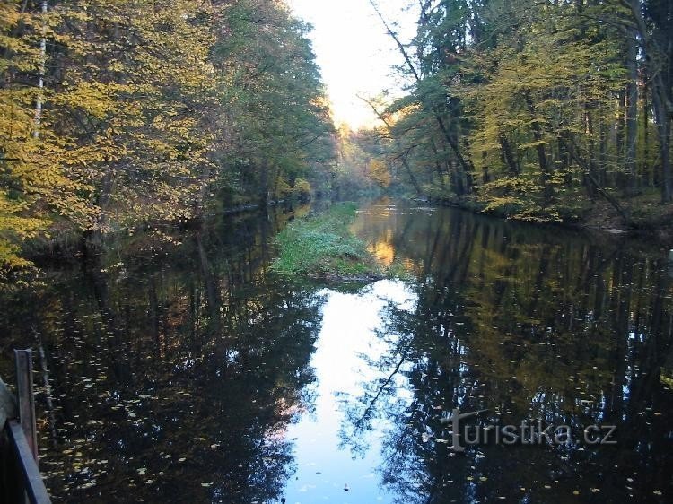 Fluss Smědá oberhalb des Wehrs bei Harty