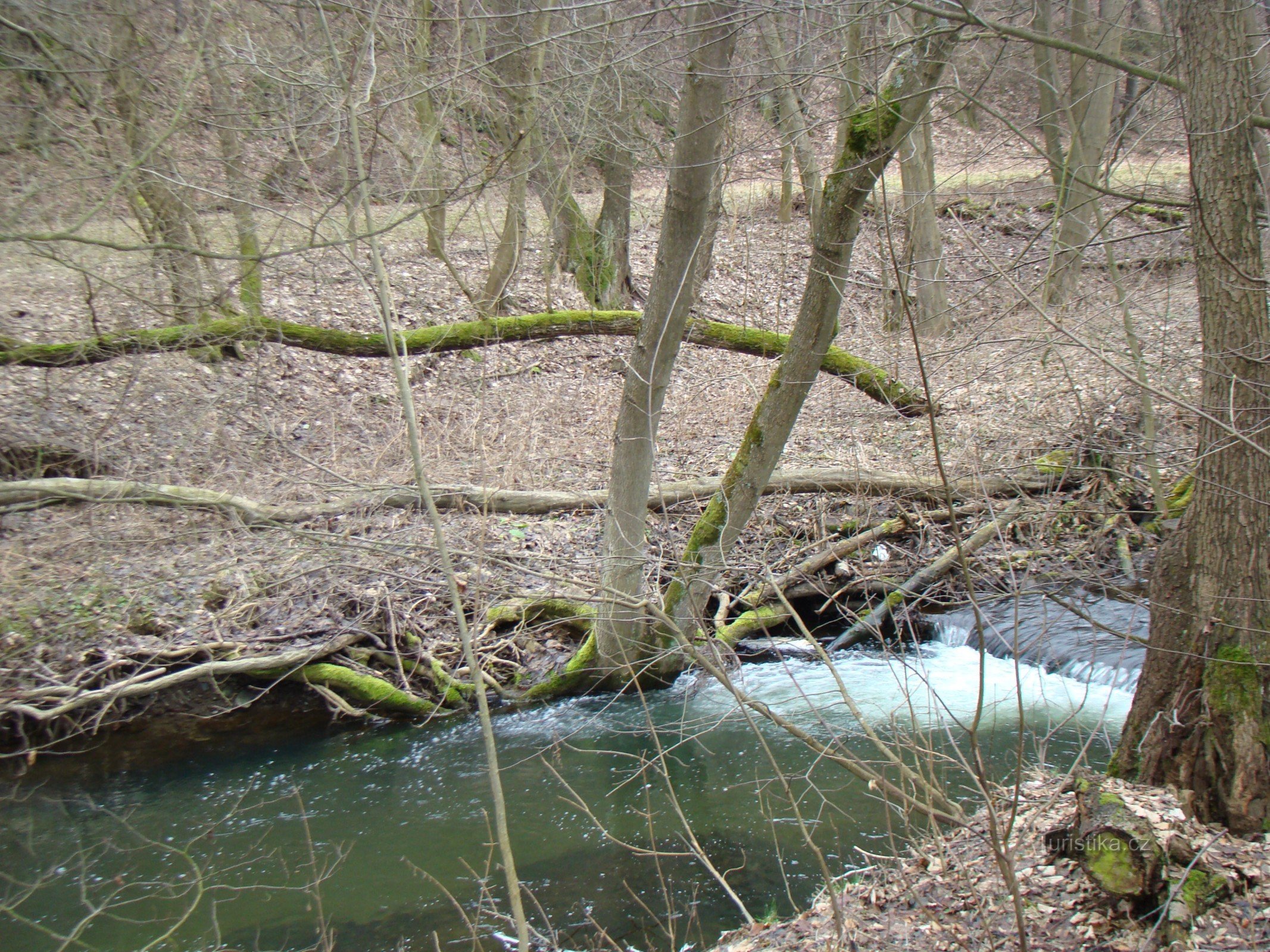 Rivière Šumice