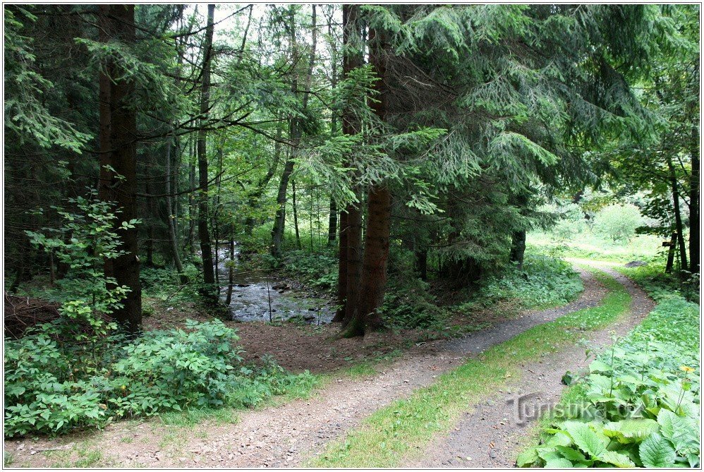 Río en la encrucijada