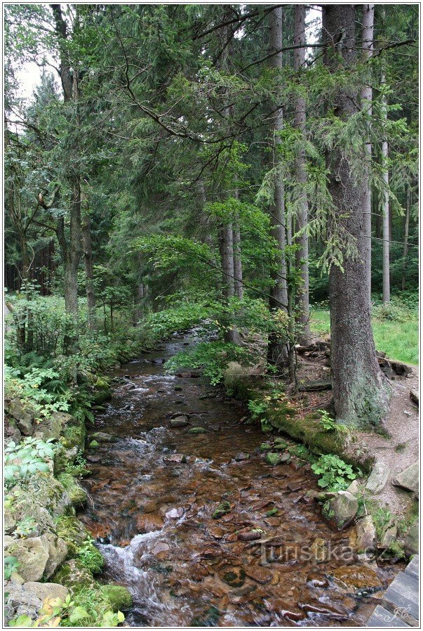 Rivière à la croisée des chemins