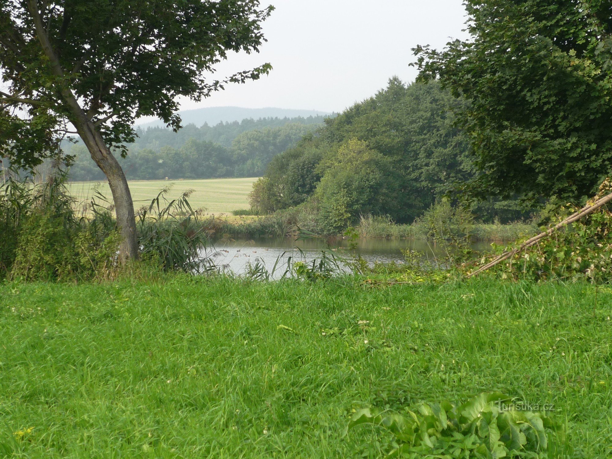 Rídečský dam