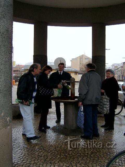 La source de Riegr à Poděbrady