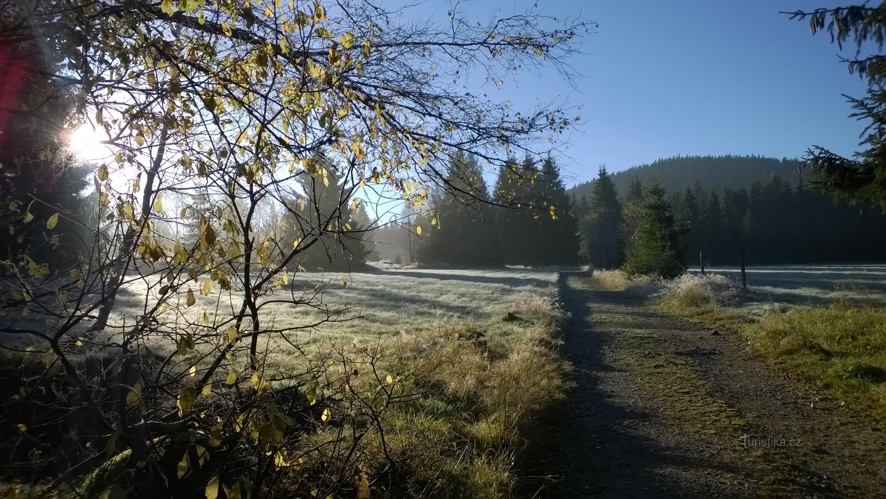 Buổi sáng Šumava tháng mười.