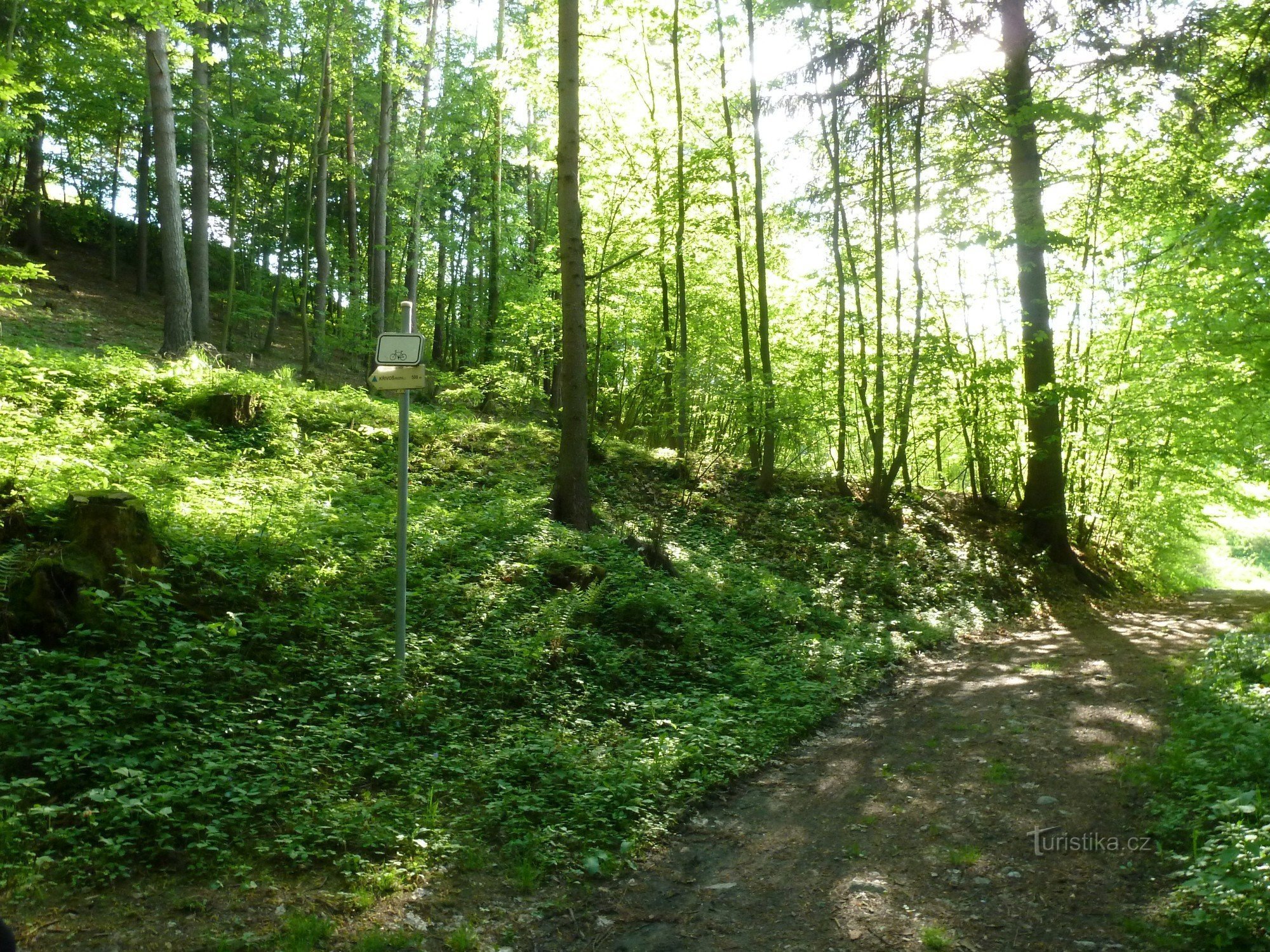 anuar în pădure - vedere la sosirea din Štěpánov