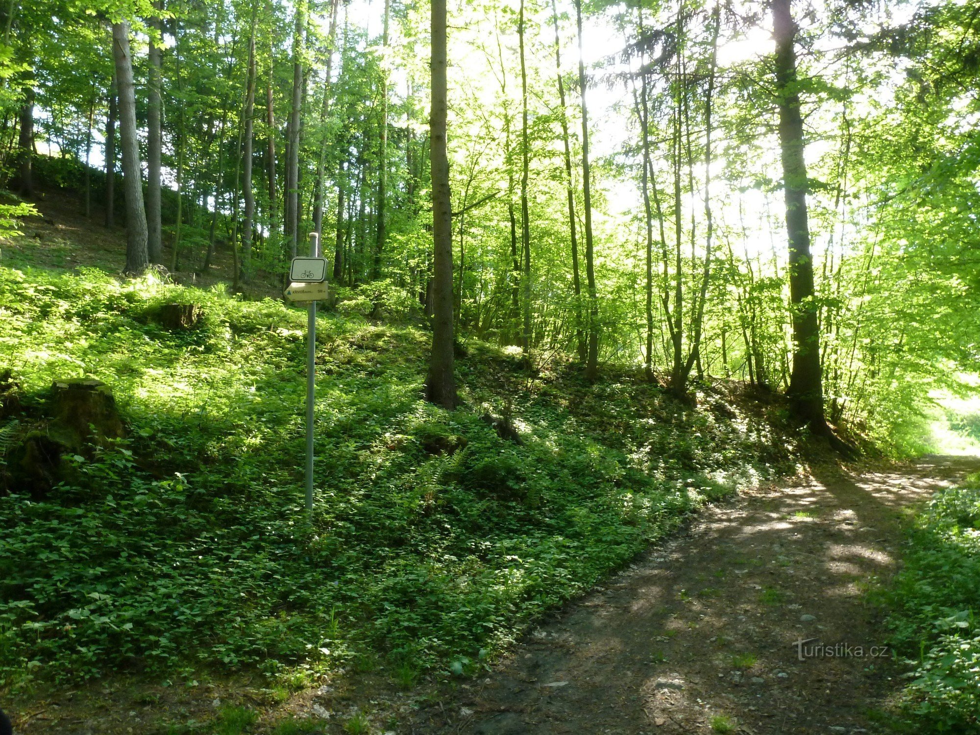 annuaire dans la forêt - vue à l'arrivée de Štěpánov