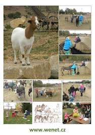 Family farm Wenet, Broumov