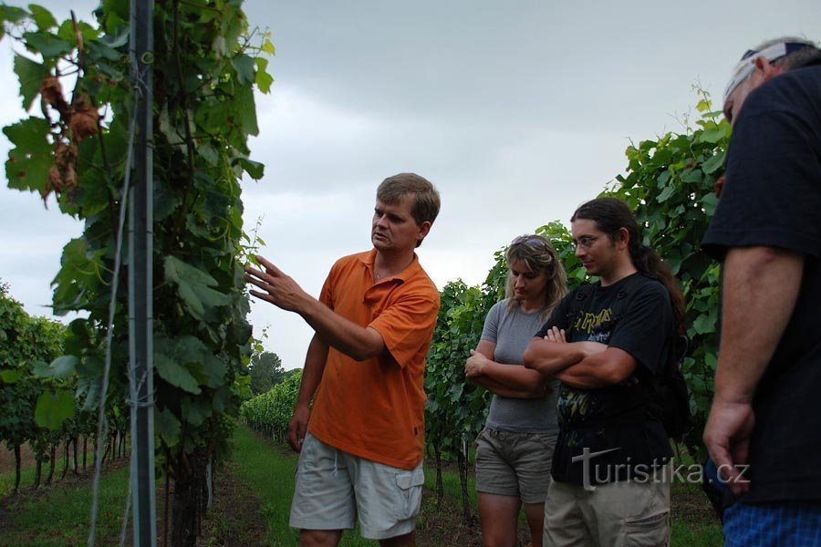 Bartoníkovi family winery