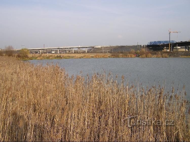 Rojek: Rojek - tło budowy autostrad