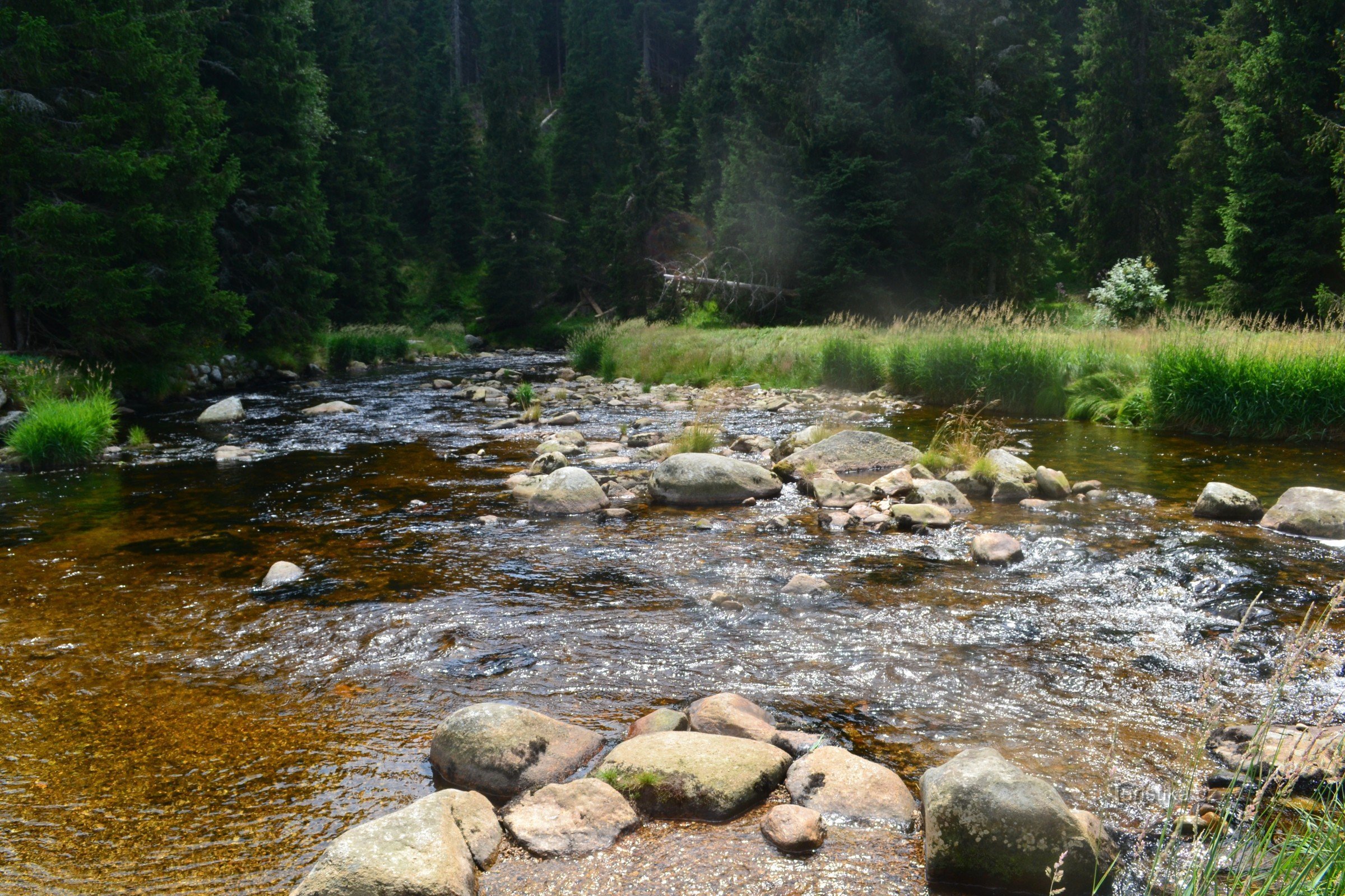 Arroyo Roklan