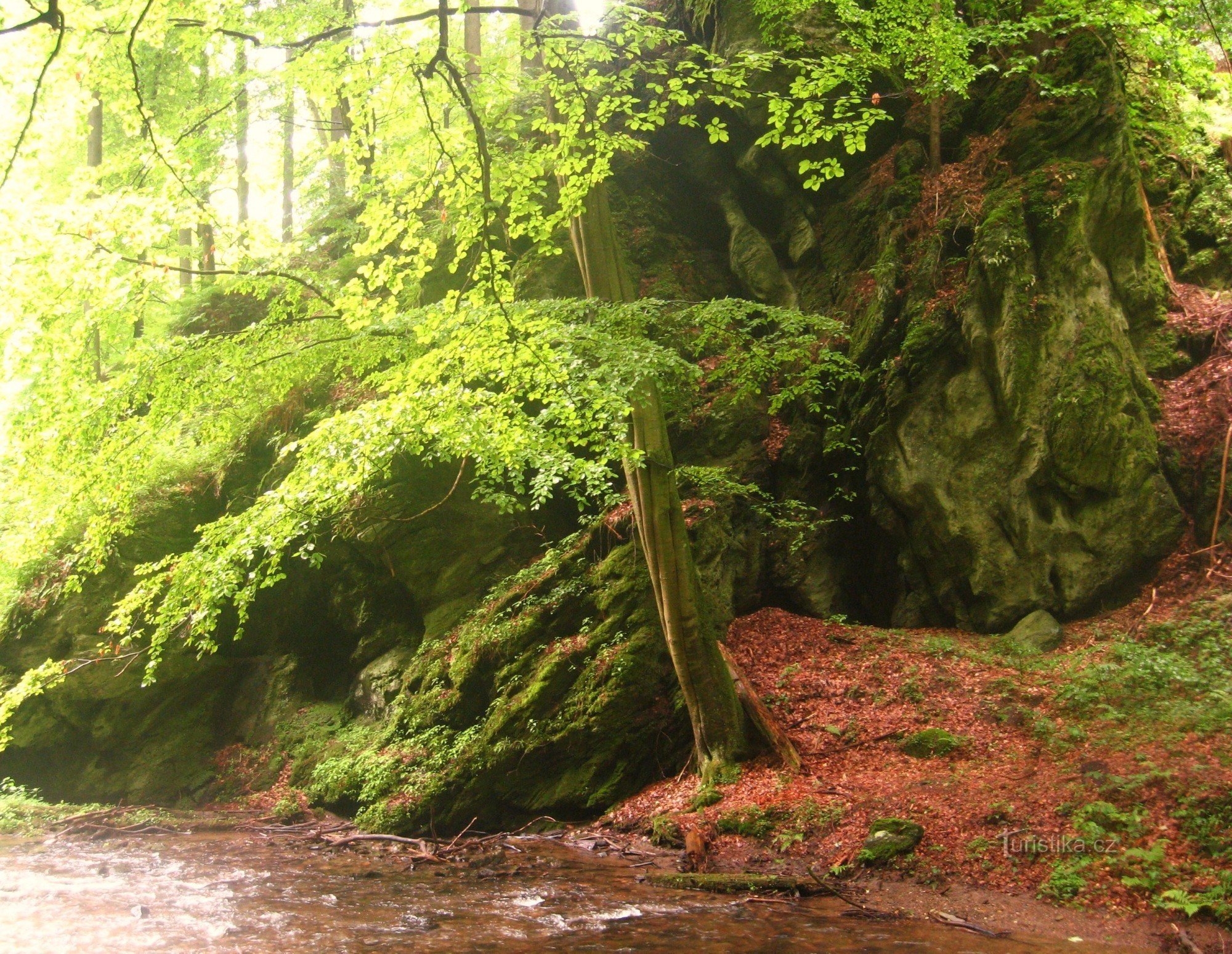 Schlucht unter den Wasserfällen