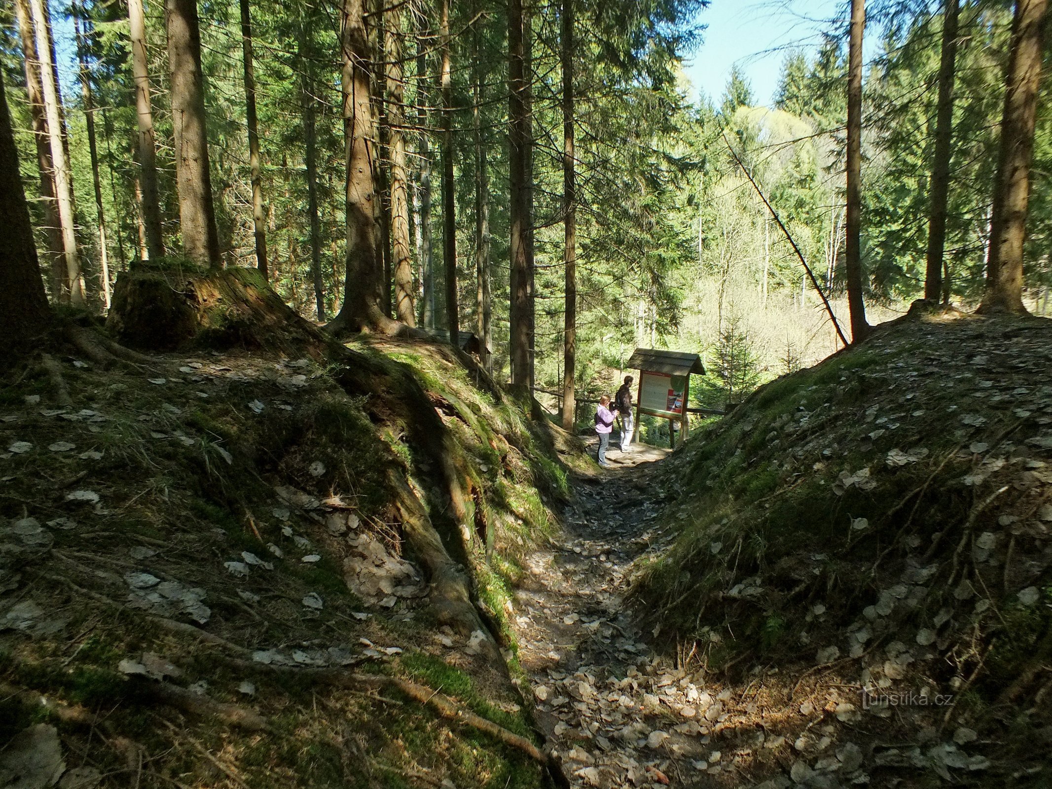 De kloof waarin het meest oostelijke punt van Tsjechië ligt