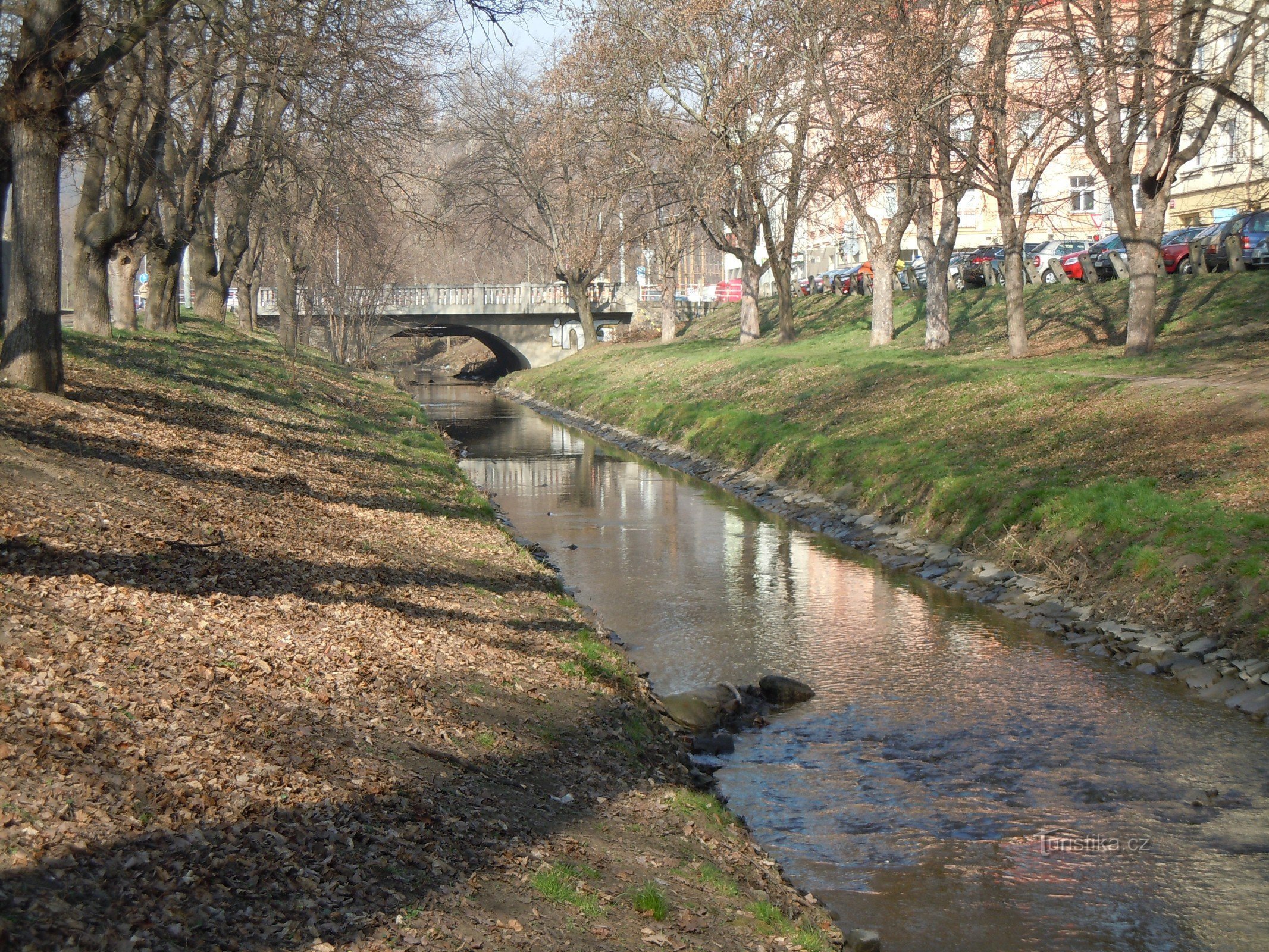 Rokytka în Libni