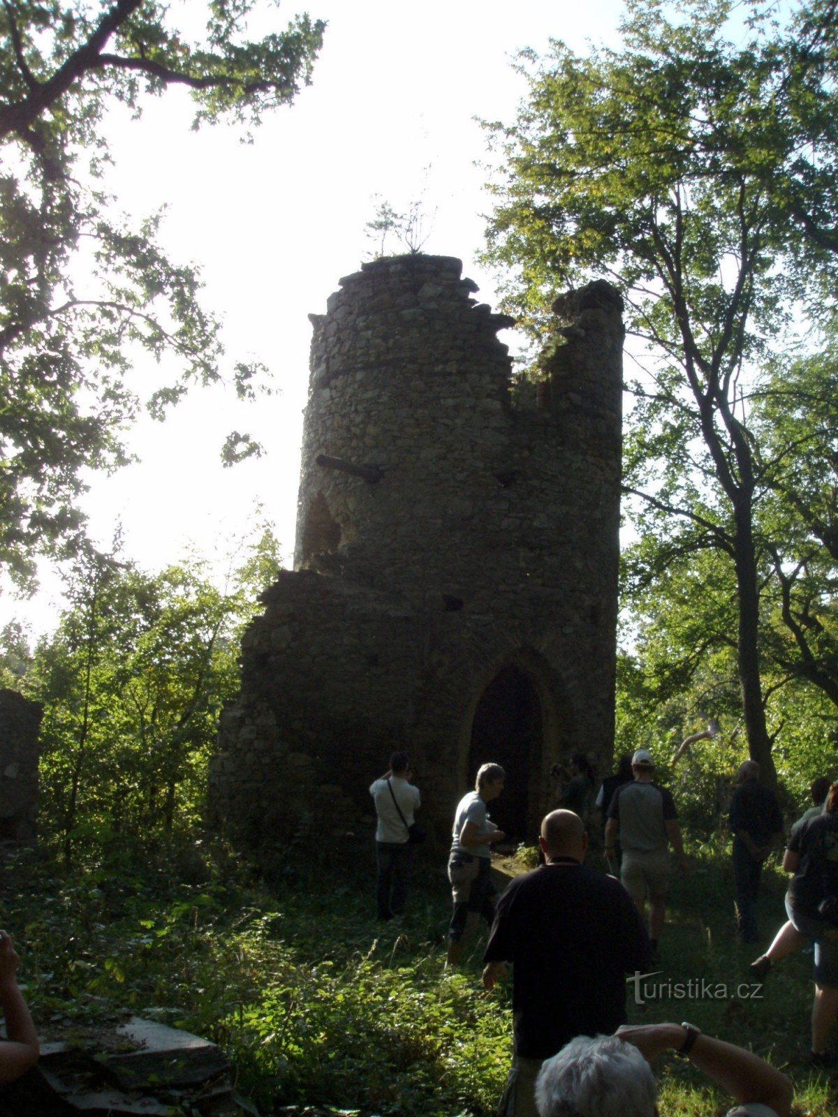 ruine romantice ale castelului ??