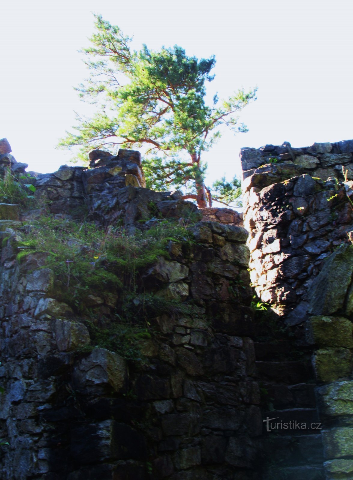 De romantiske ruiner af Rychleby Slot