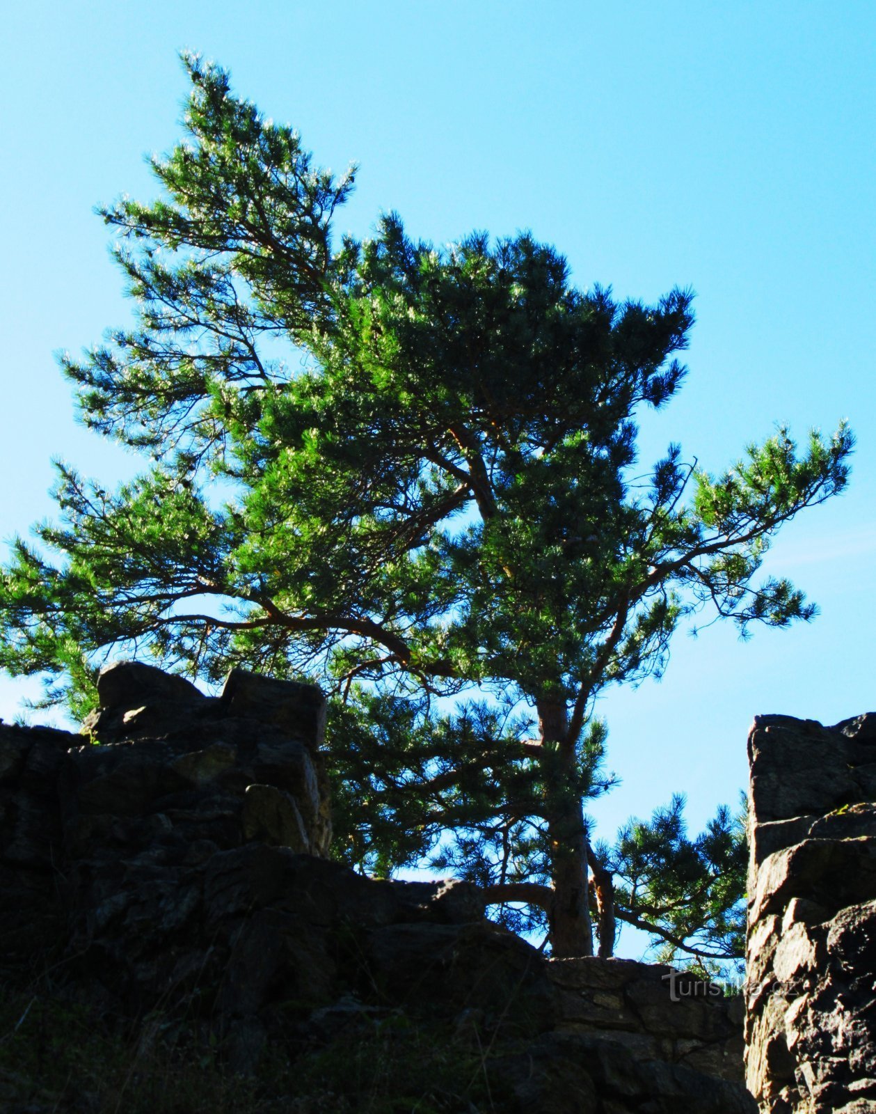 Die romantische Ruine von Schloss Rychleby