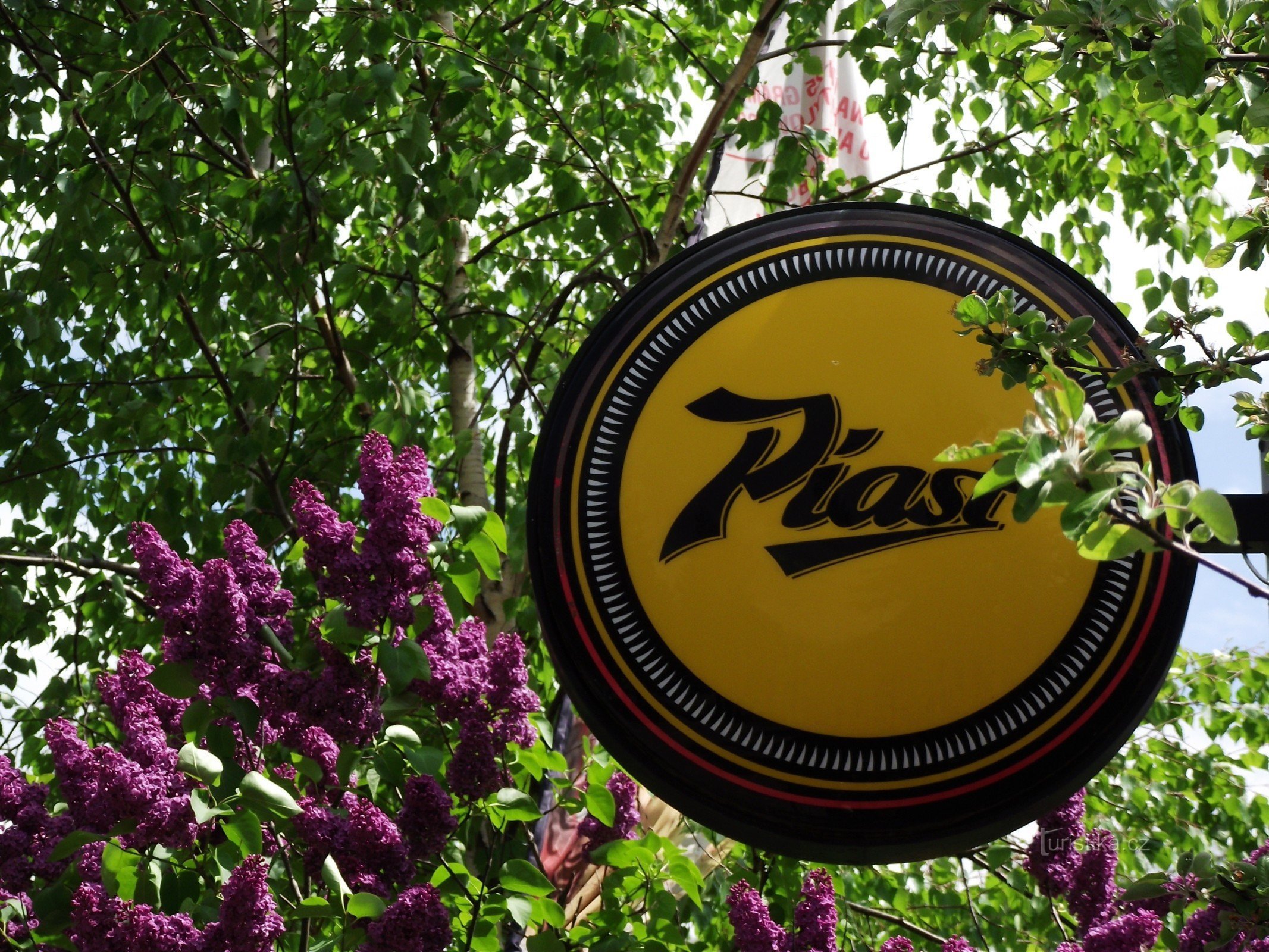 romantické jarní zátiší