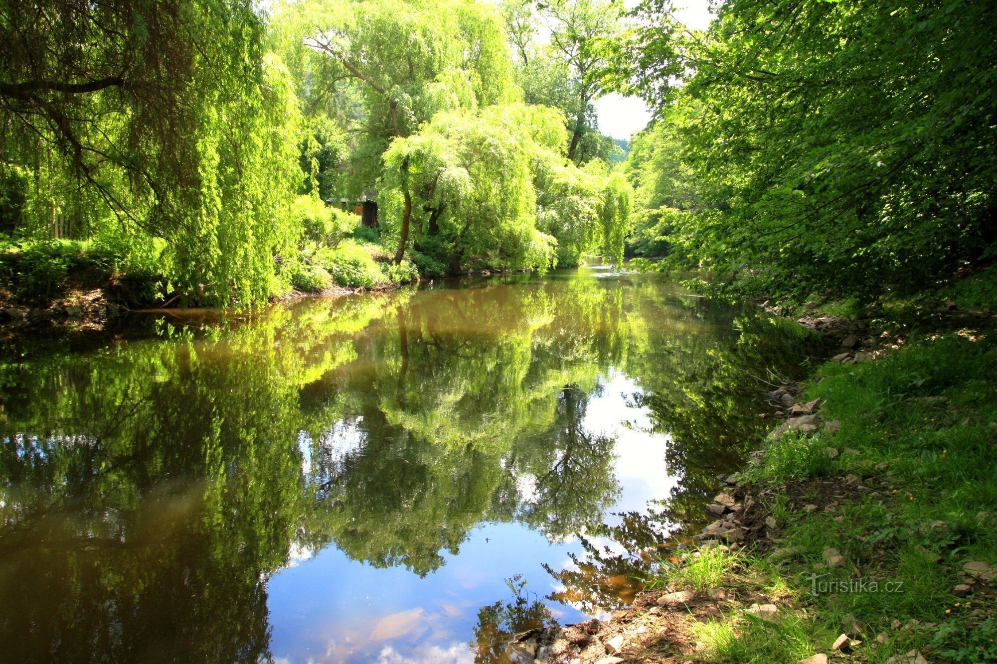 The romantic valley of Svratka