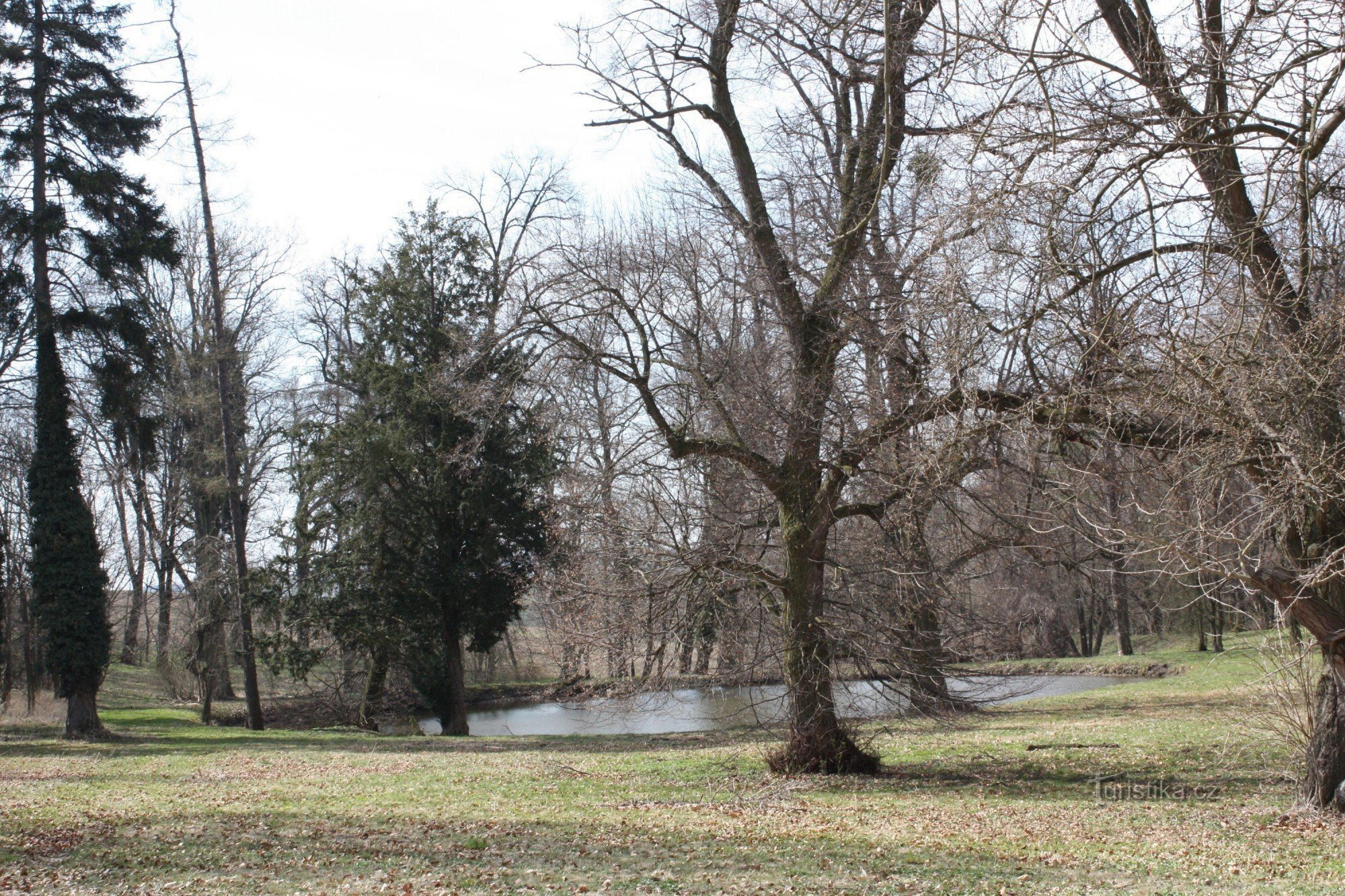 Un angolo romantico del parco del castello di Komorov