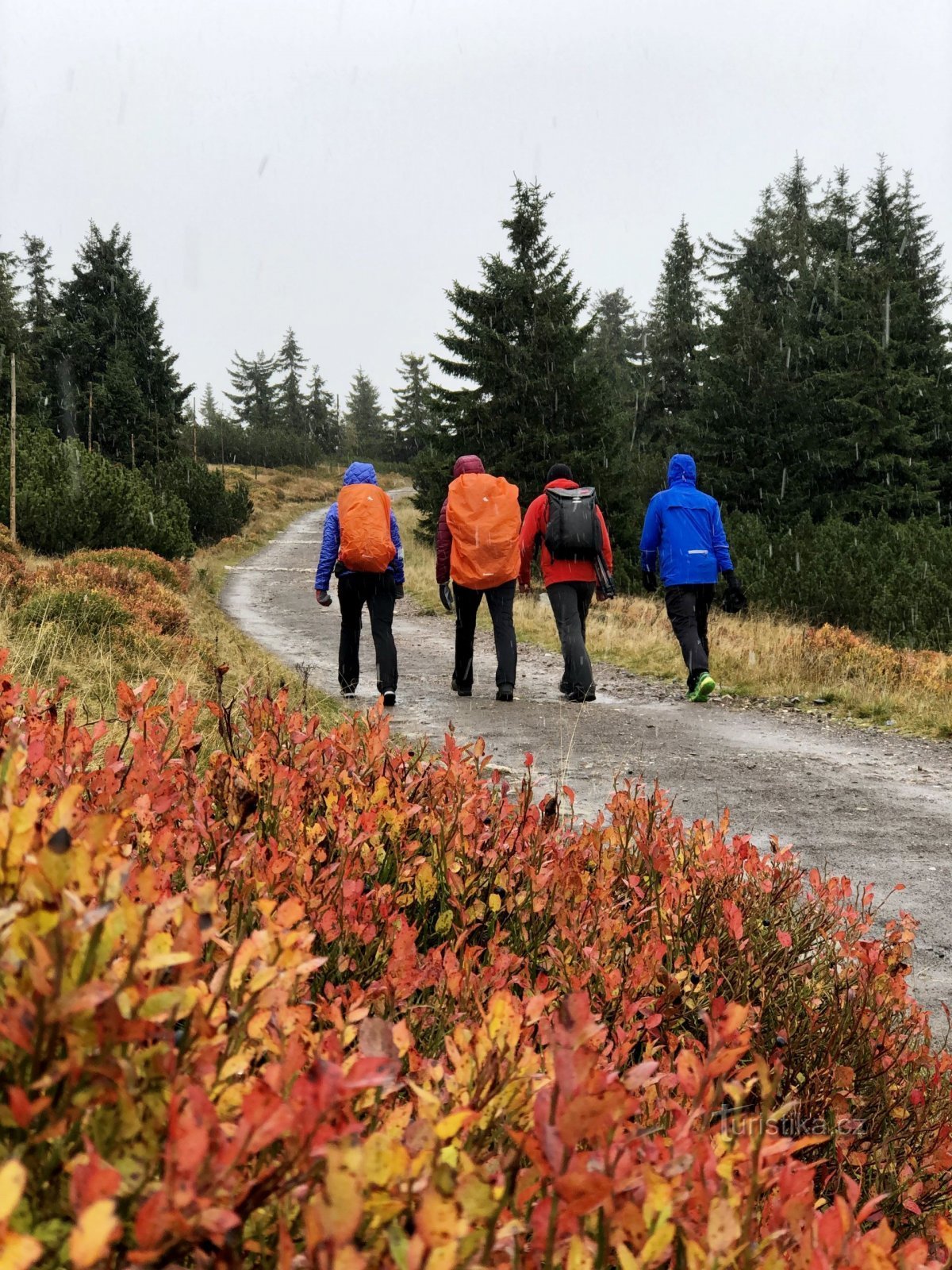 Romantik im Regen? Warum nicht? Foto: Radek Drahný