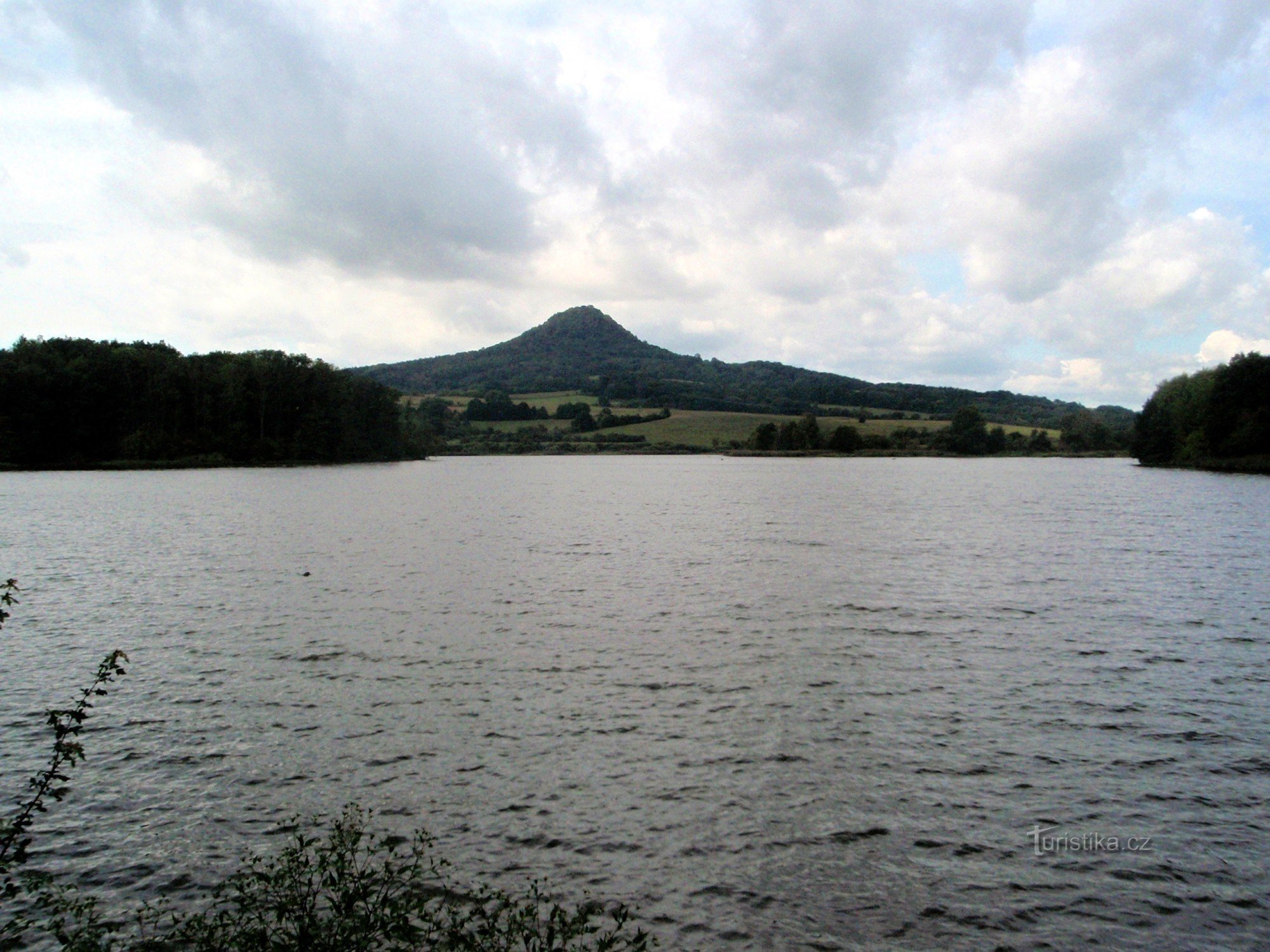 Ronov over overfladen af ​​dammen