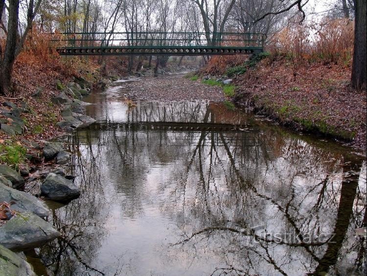 Ropičanka: Brug over de rivier in het dorp Ropice