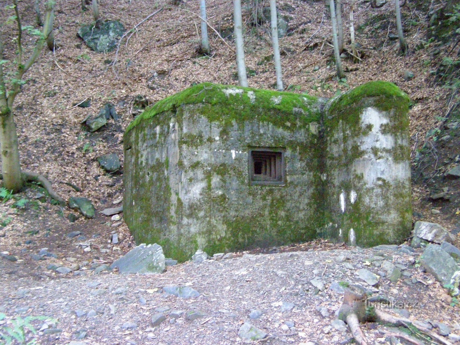 eine Wiese unter Dívčí straní