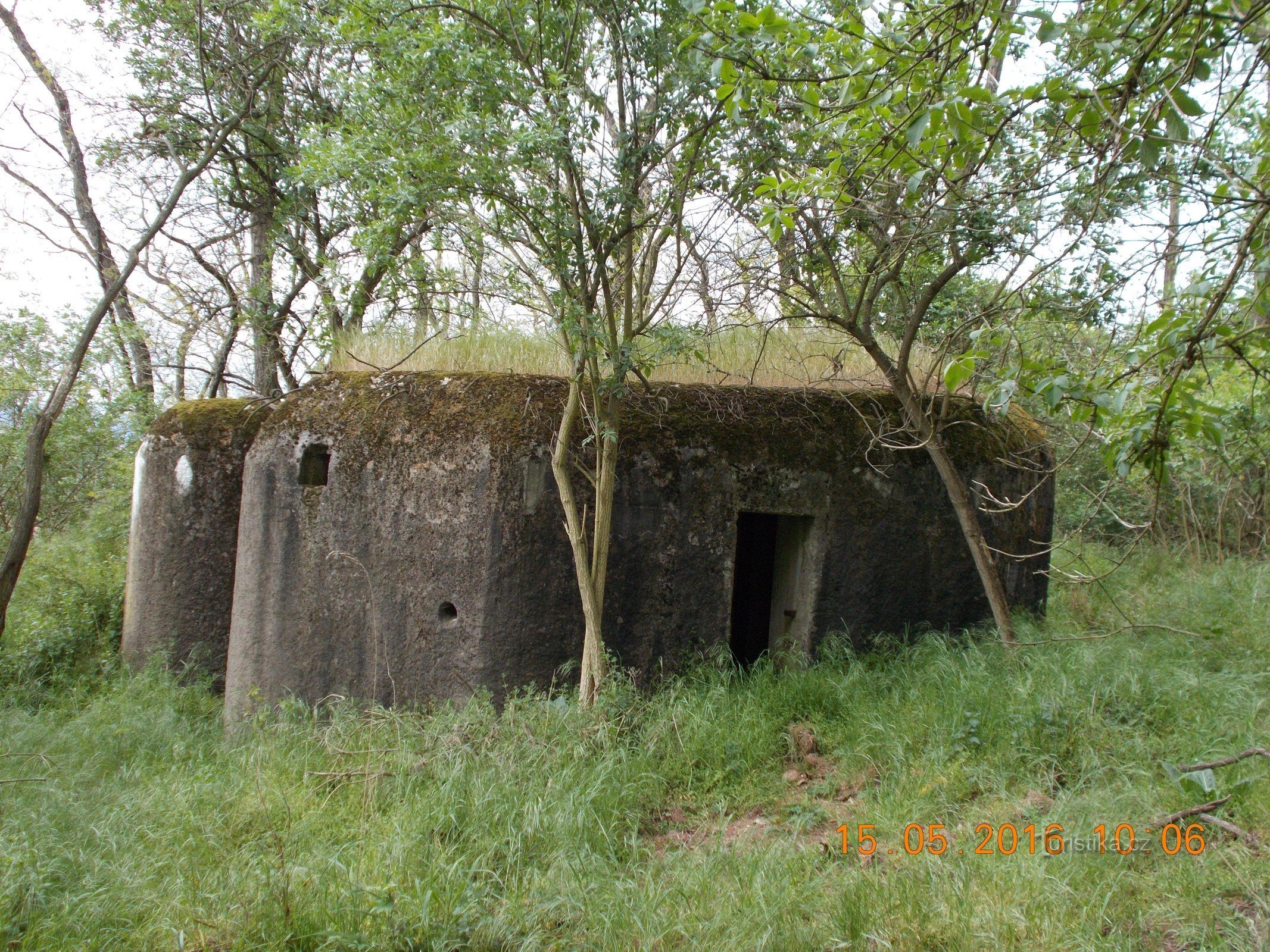 Ропіки біля Крир