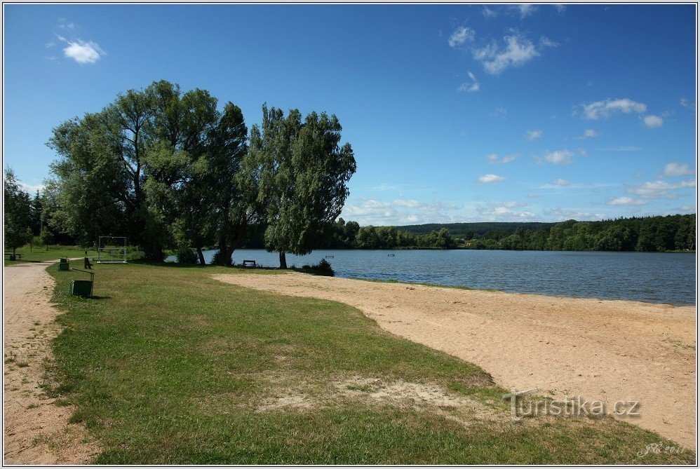 Drevesna žaba (Zgornji ribnik)