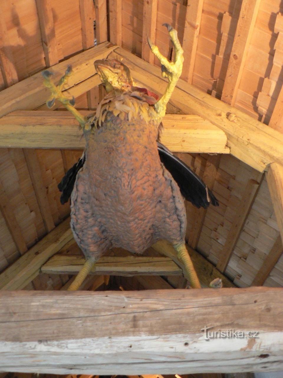 Roštejn, the castle basilisk