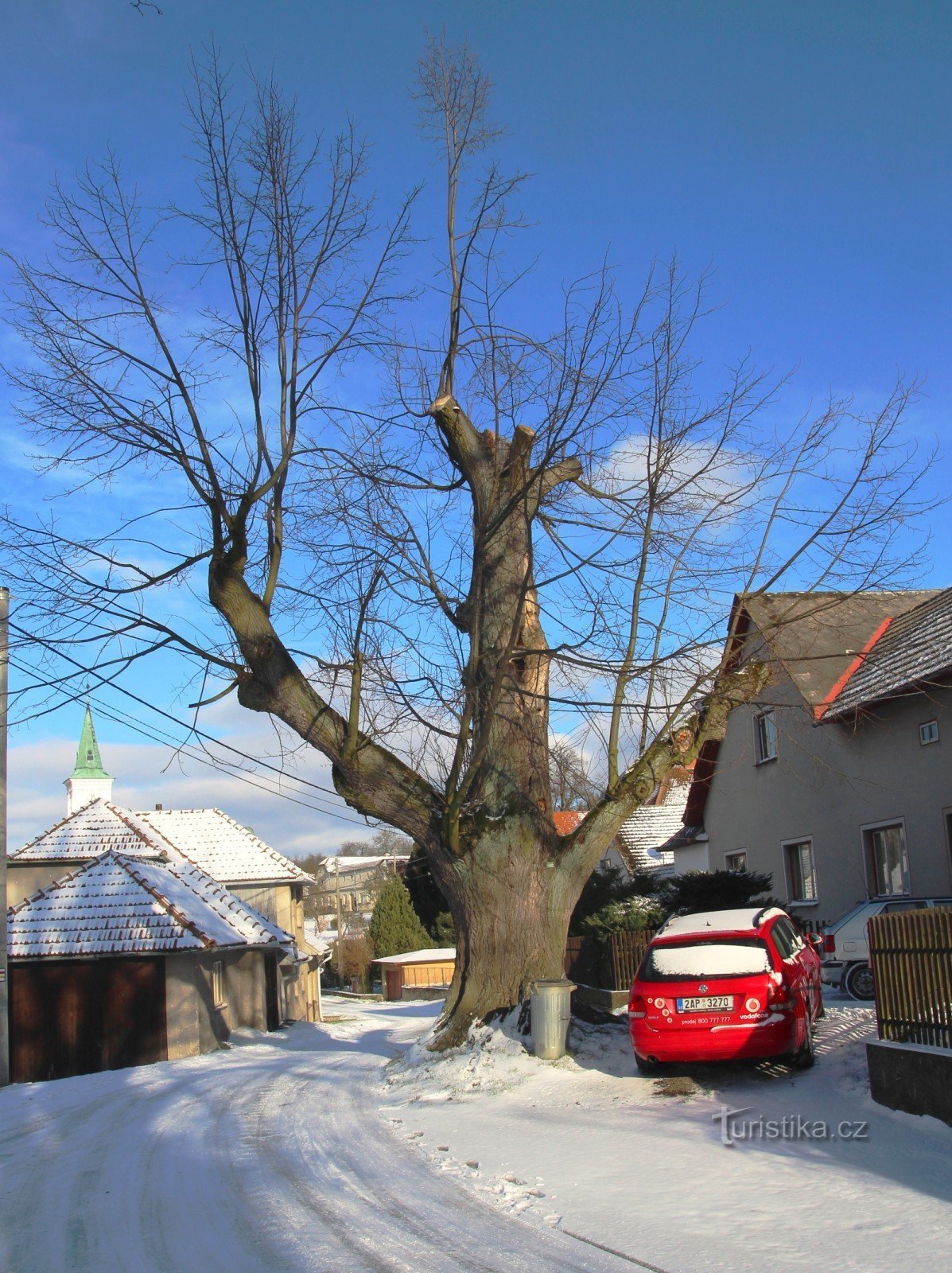 Rovečín Linden în 2015