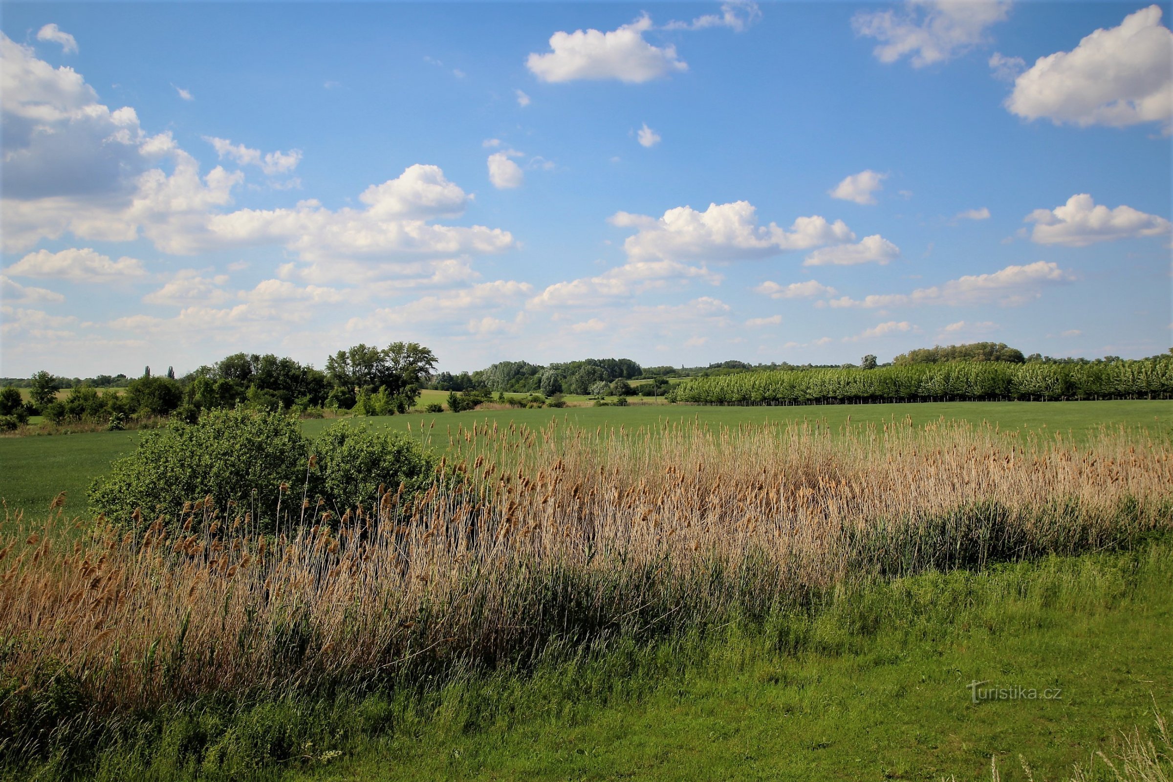 Vlak landschap tussen Drnholec en Pasohlávki