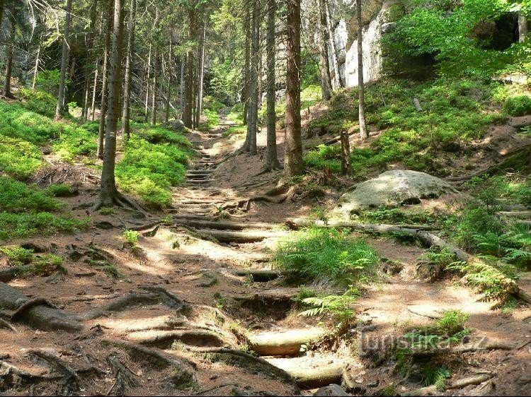 Rovně vede žlutá značka, vpravo odbočka na Úzké schody