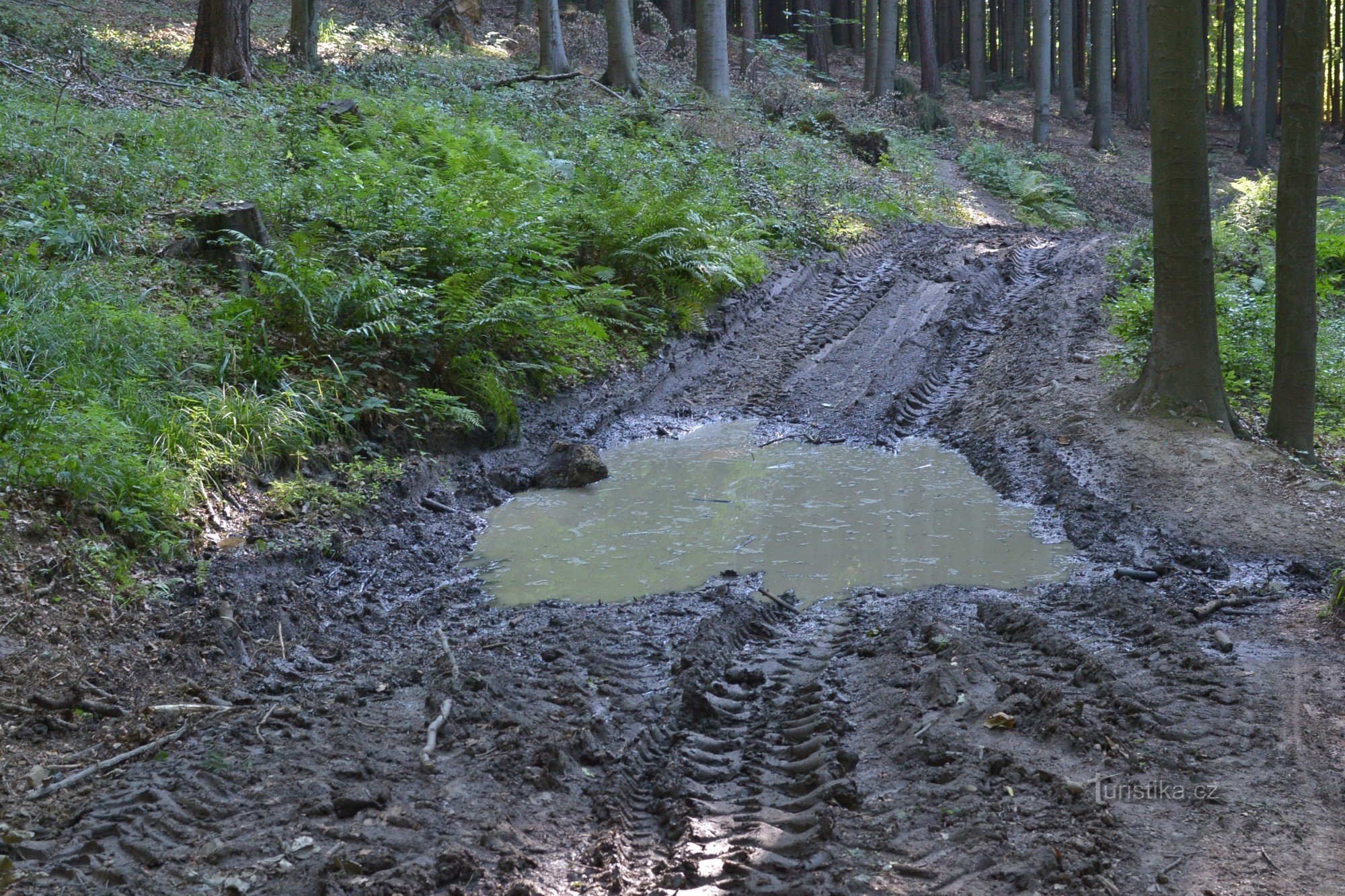 Muddy road at the Pod Slavickým kopcem signpost