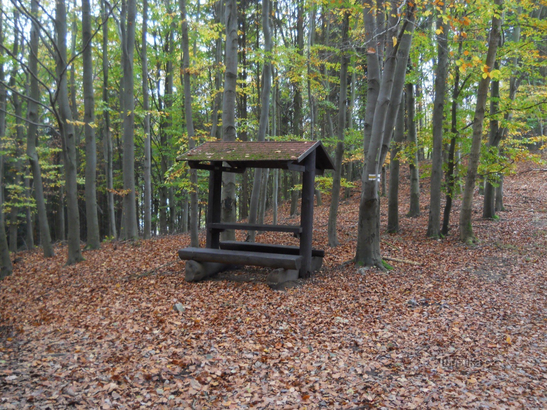 Răscruce de drumuri - 0,5 km de ruine