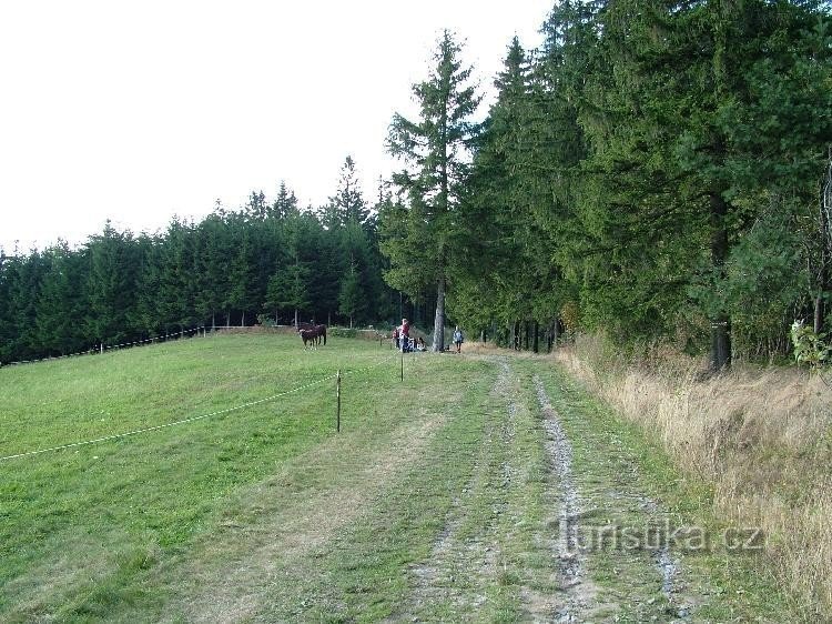 Cruce de caminos Benešky