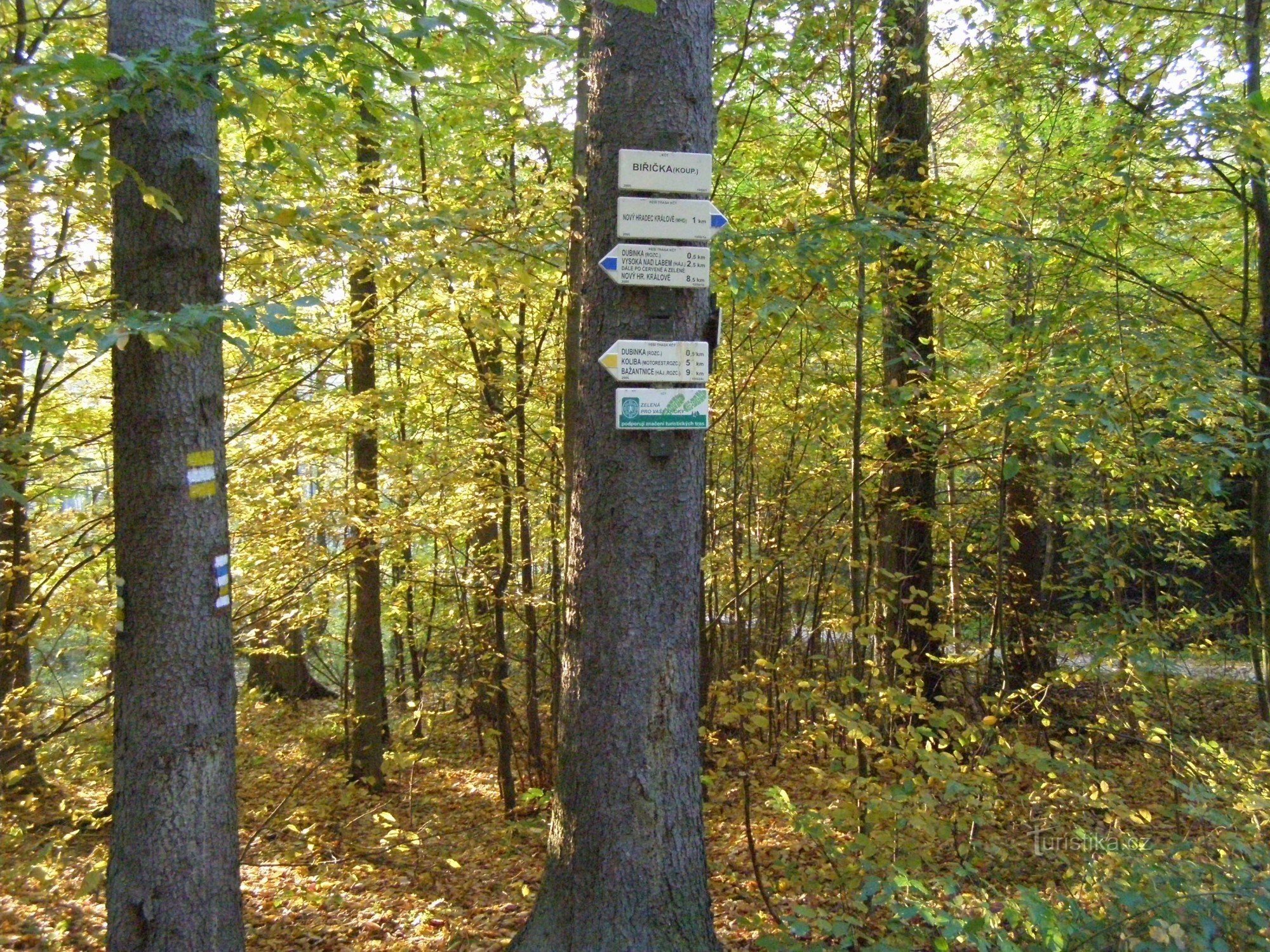 Σταυροδρόμι Biřička - Hradecké Lesy