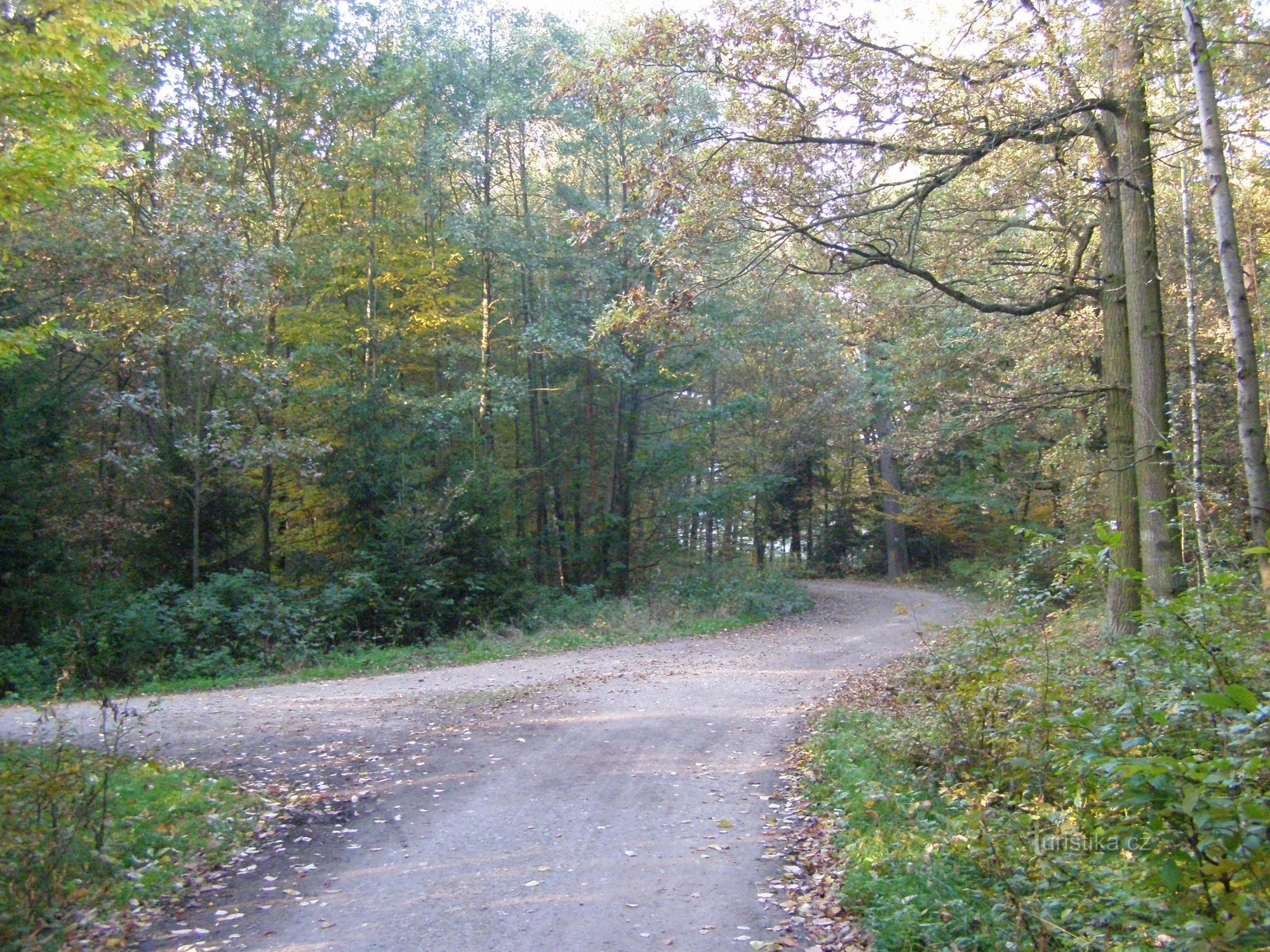 Kreuzung Biřička - Hradecké Lesy