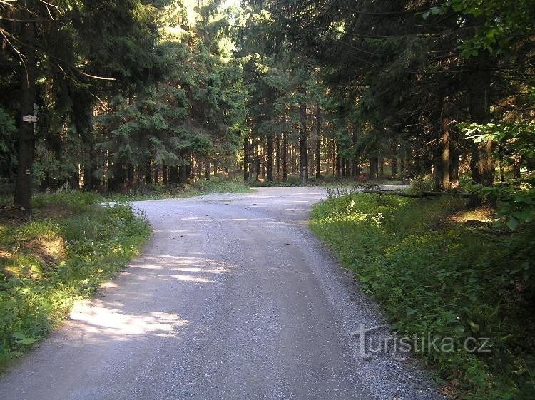 Rozcestí Bouda směrem od Rudolfova pramene a Svaté Trojice (864 m n.m.)