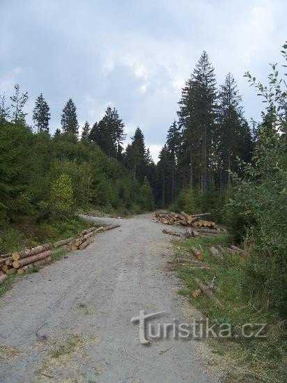 Перекресток: Общий вид перекрестка