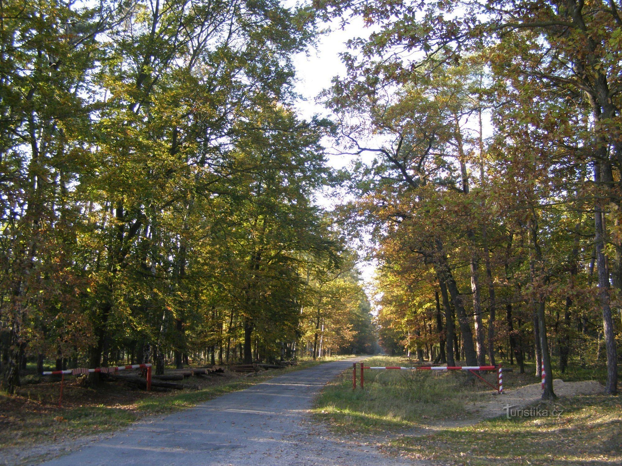 Crossroads Hradecnice-Bělečko - Hradecké Lesy