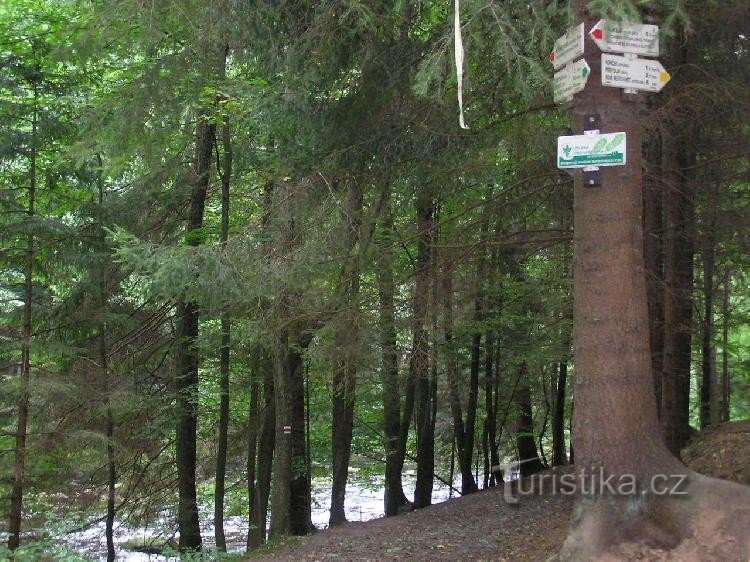 Cruce de caminos a la afición en el infierno