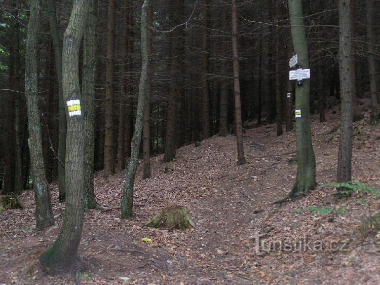 Cruce de caminos a la afición en el infierno