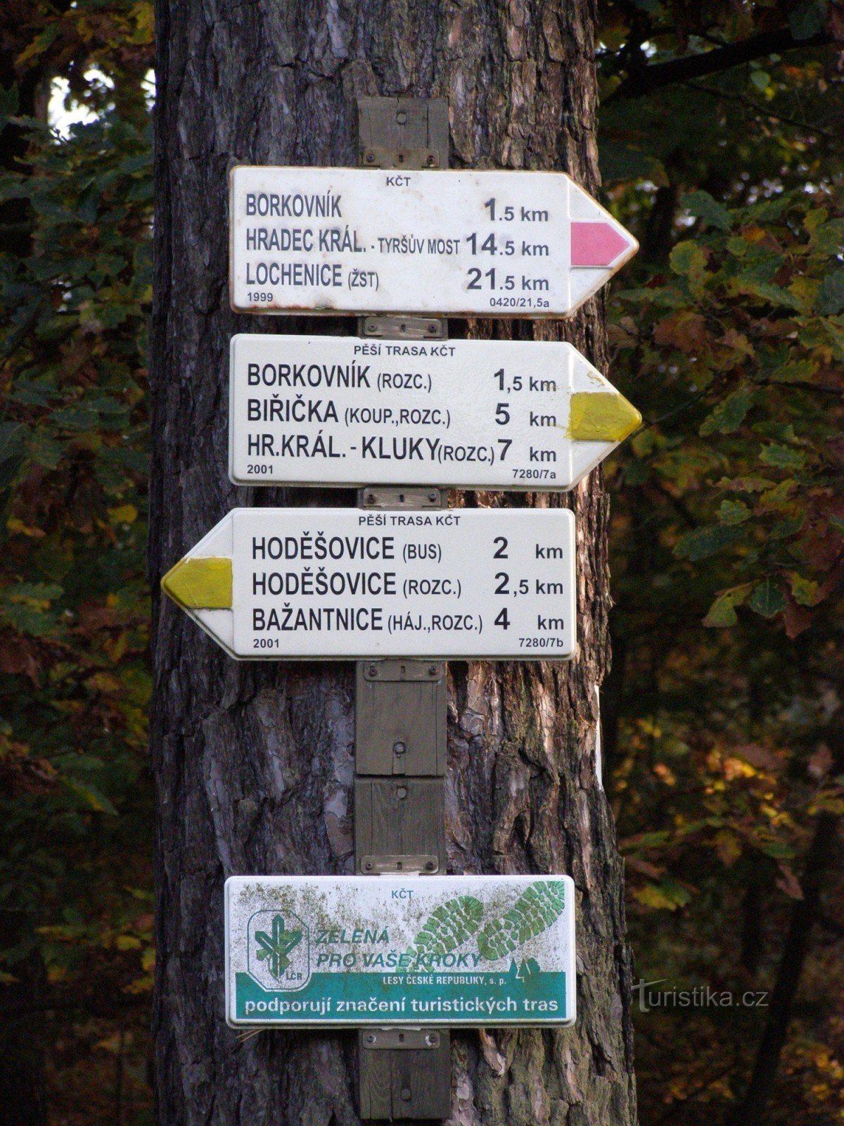 Kruispunt Koliba - Hradecké lesy