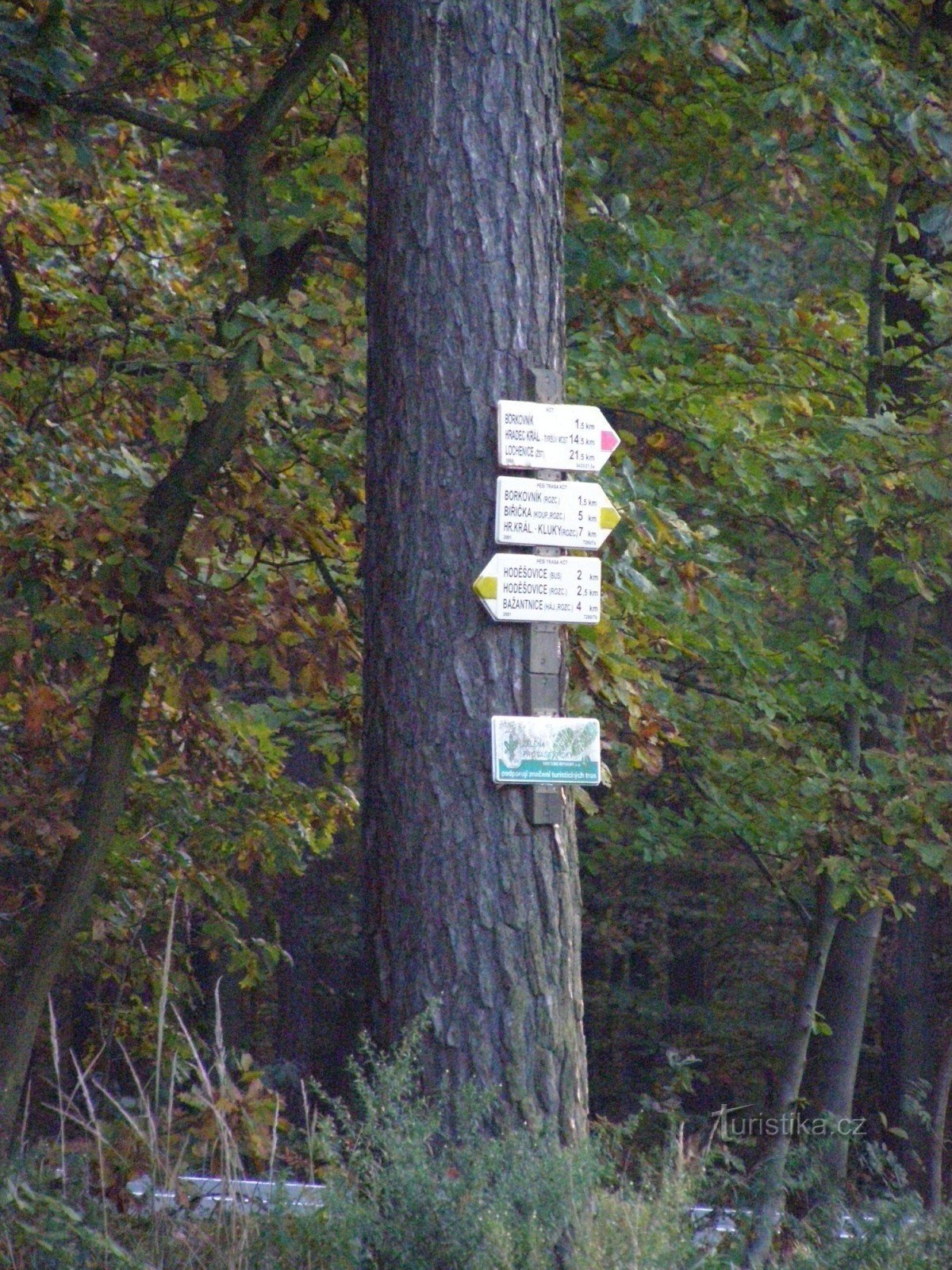 Kreuzung Koliba - Hradecké lesy