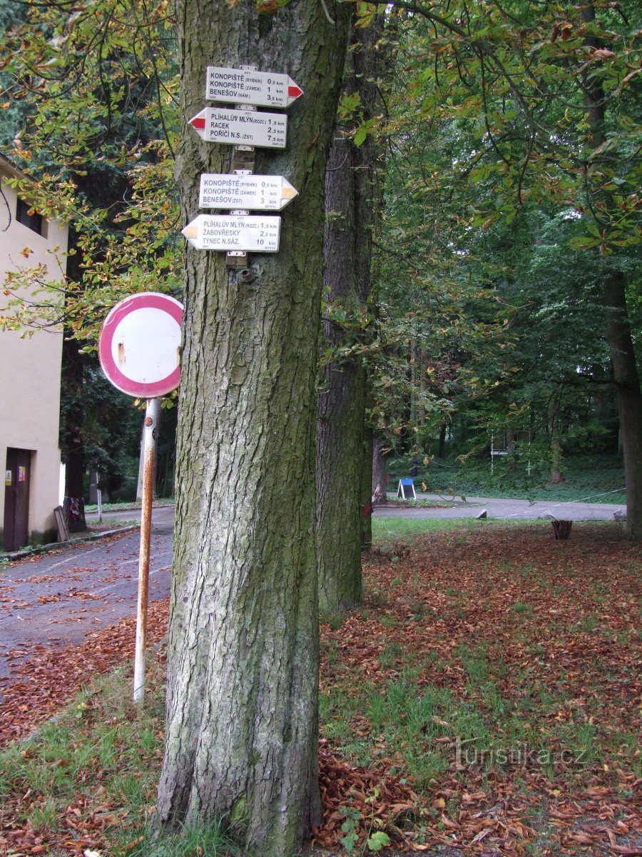 Konopiště - kruispunt van het park